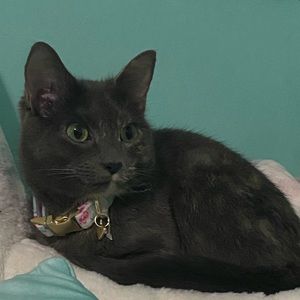 Meet your Posher, Kearstyn